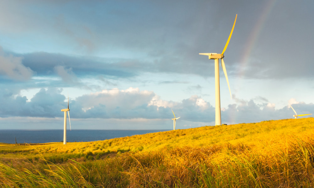 Wind turbines above a sunlit coastal ridge beneath a rainbow